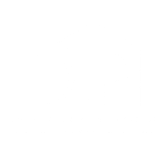 Logo DTP blanc transparent